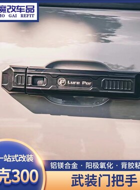 坦克300外拉手LP定制武y装门把手改装车门把手防刮保护装饰