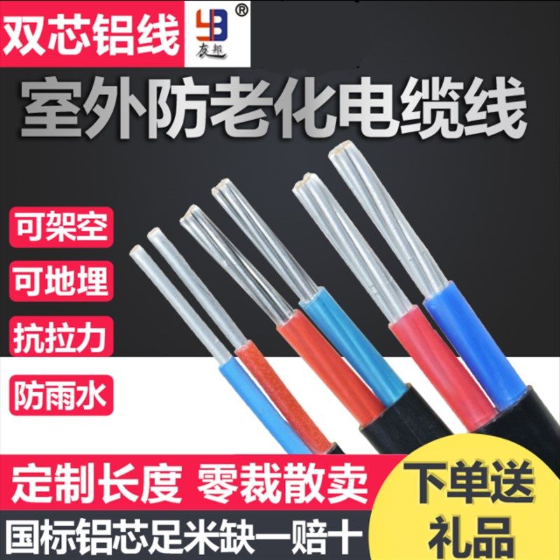 国标电线2芯 4 6 10 16 25 35平方架空铝线2股T铝芯户外电缆护套
