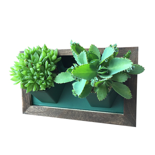 免钉壁挂墙上花盆真植物相框挂式 挂墙创意绿植吊兰绿萝墙上花架