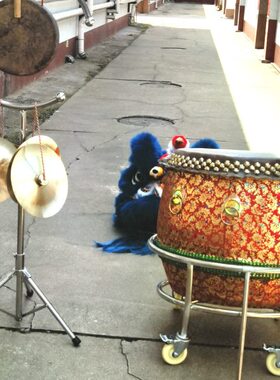 南狮专业广拨大镲南狮鼓醒狮广拨醒狮大镲舞狮用广拨舞龙舞狮广拨