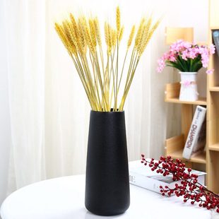 北欧简约现代富贵竹水培花瓶家居饰品客厅酒柜装 饰品创意陶瓷摆件