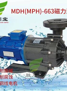 胜川宝磁力泵MPH(MDH)-663无轴封磁力驱动泵浦耐酸碱PP塑料化工泵