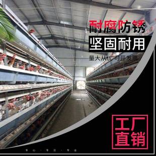 鸡笼网全自动蛋鸡养殖笼子三层阶梯式 蛋鸡笼热镀锌备防疫