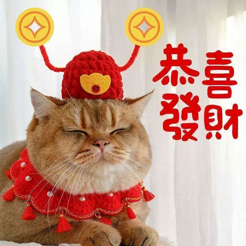猫咪财神帽子马年新款钩针不挑头围通用头饰中式宠物新年战袍配饰