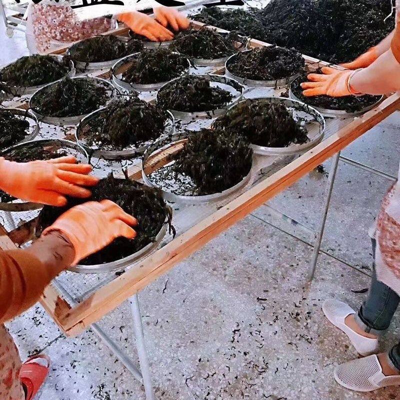 纯碎紫菜无油无盐无料包新季新货无沙免洗散装碎紫菜干货商用,水产肉类/新鲜蔬果/熟食,紫菜/海苔,淘宝优惠券,粉丝福利购,淘宝优惠卷