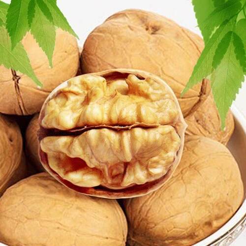 2025新疆阿克苏核桃原味生核桃正宗新疆薄皮核桃新货坚果