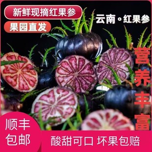 顺丰彩箱发货云南文山马关县稀有果实蜘蛛果红果参新鲜采摘发货