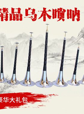 高档红木乌木唢呐大F A 降B C D 降E E小F小G调赠哨片2包