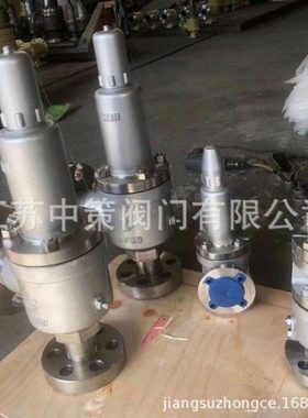 A41Y-16RL A41Y-25RL A41Y-40RL 不锈钢316L弹簧微启式安全阀