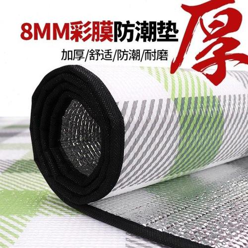 防潮垫野餐垫加厚户外露营帐篷地垫家用打地铺床上用学生宿舍床垫