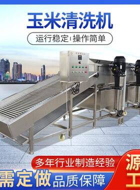 玉米清洗机果蔬清洗机大型食品厂加工清洗设备清洗机