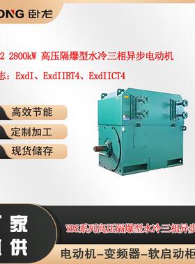 YBS630-22800W高压隔爆型水冷三相异步电动机ExdIMbBT4CT4