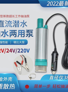 水泵潜水泵小型电动抽油泵12vw24V220v车载油抽子柴油尿素豆油煤