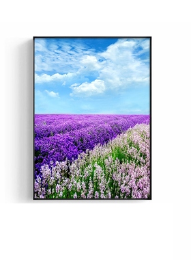 网红薰衣草紫色粉主卧室饭厅床头画客厅沙发N背景墙壁画装饰挂画