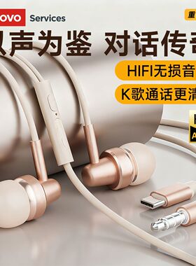 联想YF21入耳式有线耳机K歌线控降噪学生Type-C适用苹果小米华为
