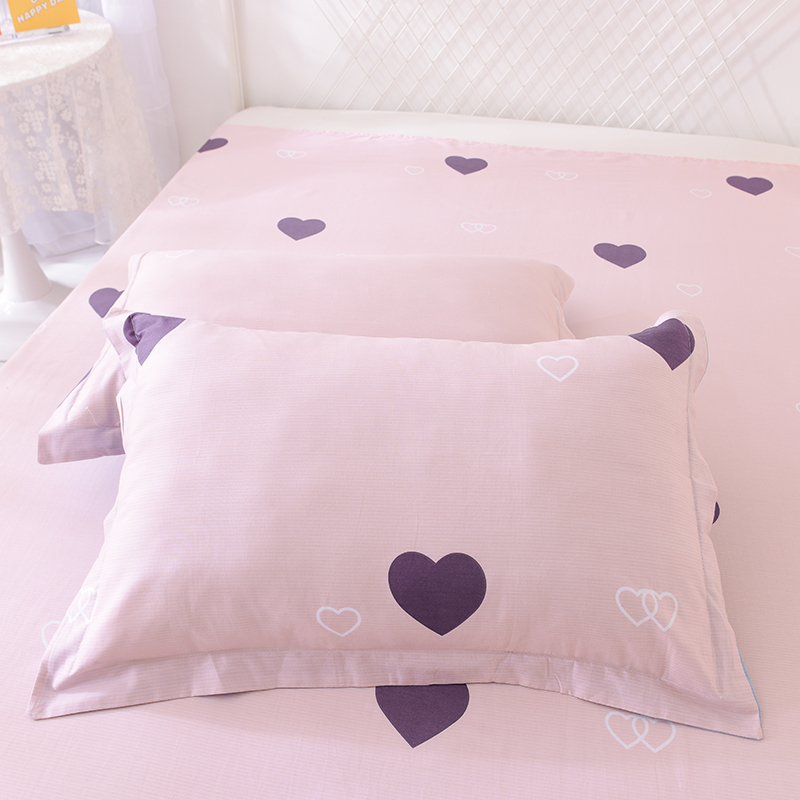 俏丽妃加厚全棉枕套单双人学生宿舍枕头套48x74c枕芯套一对装