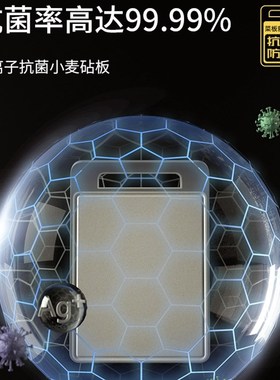 切菜板子塑料抗菌砧板硅胶厨房蒸板毡板案板实木水果粘板家用防霉