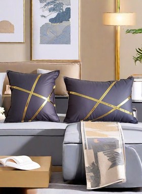 现代简约靠垫爱马橙色护r腰枕床头沙发客厅抱枕纯色轻奢科技布靠