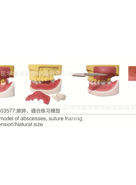 SMD03577脓zhong、缝合练习模型