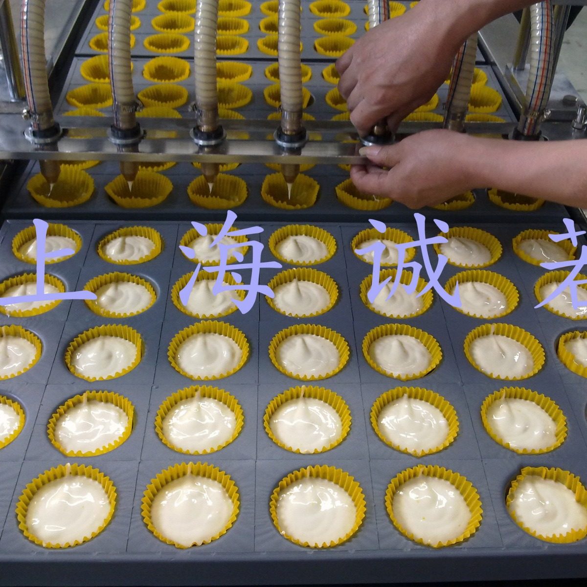 上海蛋糕机 蛋黄派设备 供应蛋糕成型机 蛋糕注心机,清洗/食品/商业设备,灌肠机,淘宝优惠券,粉丝福利购,淘宝优惠卷