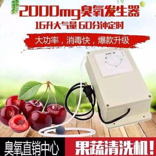 60分钟定时 16升出气量 2000mg臭氧发生器 220v