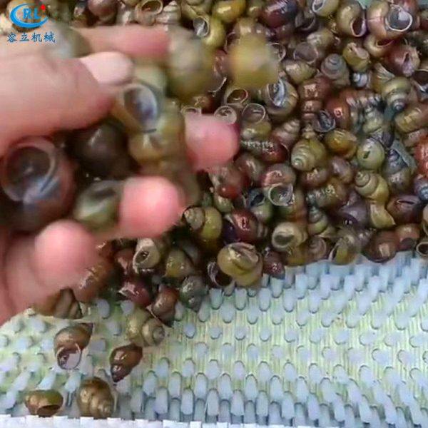 厂家供应牡蛎清洗机 辊刷式扇贝毛蛤去泥机 全自动田螺钉螺清洗机,清洗/食品/商业设备,果蔬加工设备,淘宝优惠券,粉丝福利购,淘宝优惠卷