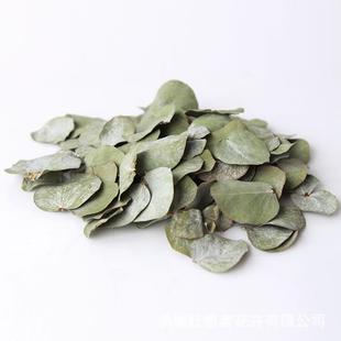 云南尤加利基地直销尤加利叶桉树叶自然干花香包手工材料包