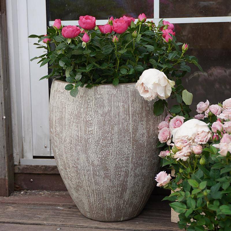 虹越嘉伯瑞凯瑟复古水缸塑料大号高款水生植物睡莲盆仿古塑料花盆