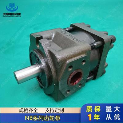内啮合齿轮油泵NT5-G100F NT5-G125F NT2-C20F NT2-C25F NT2-C32F