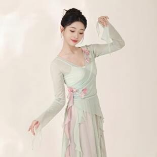 花瓣古典舞服装渐变飘逸仙气网纱练功服中国民族舞蹈演出服女春款