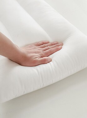 白色低枕芯护颈羽j丝绒枕头学生宿舍用单人48x74cm简约现代1只装