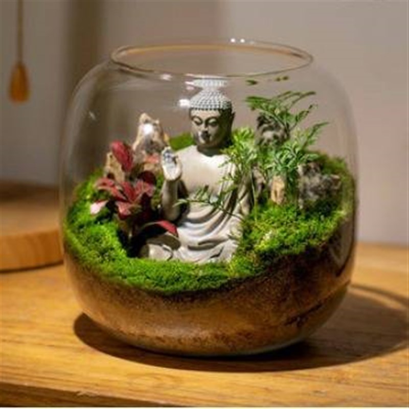 生态瓶青苔藓微景观玻p璃缸盆景摆件造景盆栽办公室桌面创意绿植