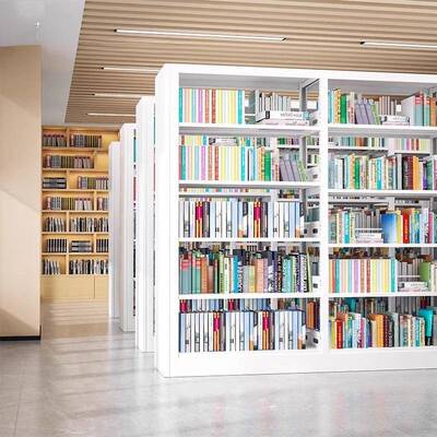 学校图书馆钢制书架落地置物架加厚档案架阅览室书店单双面资料架