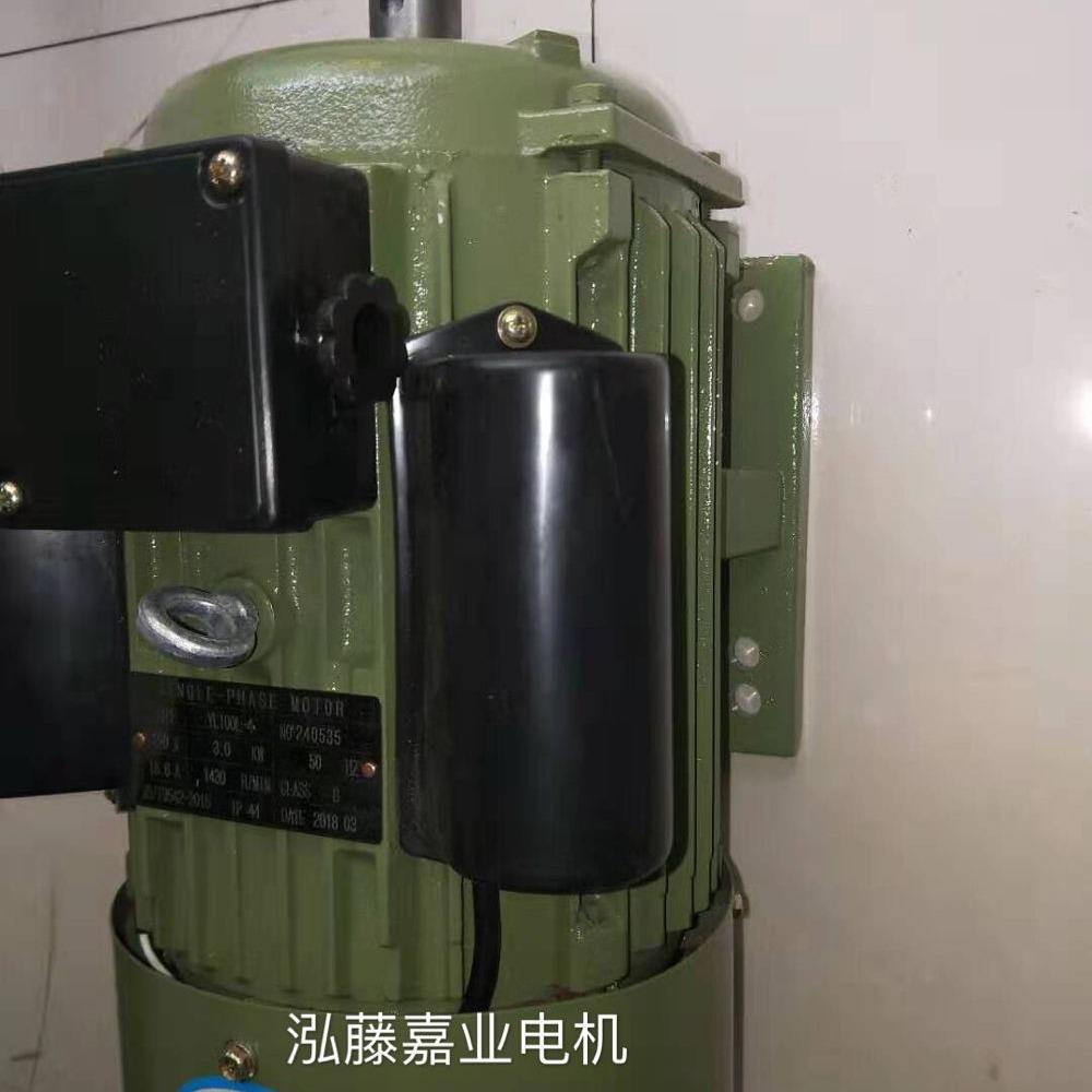 YL100L-2-3KW单项双值电容异步电动机直销