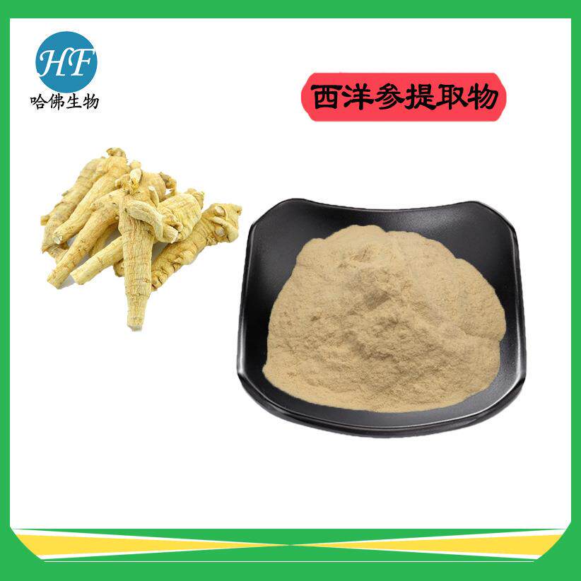 西洋参提取物10：1西洋参粉水溶性现货供应