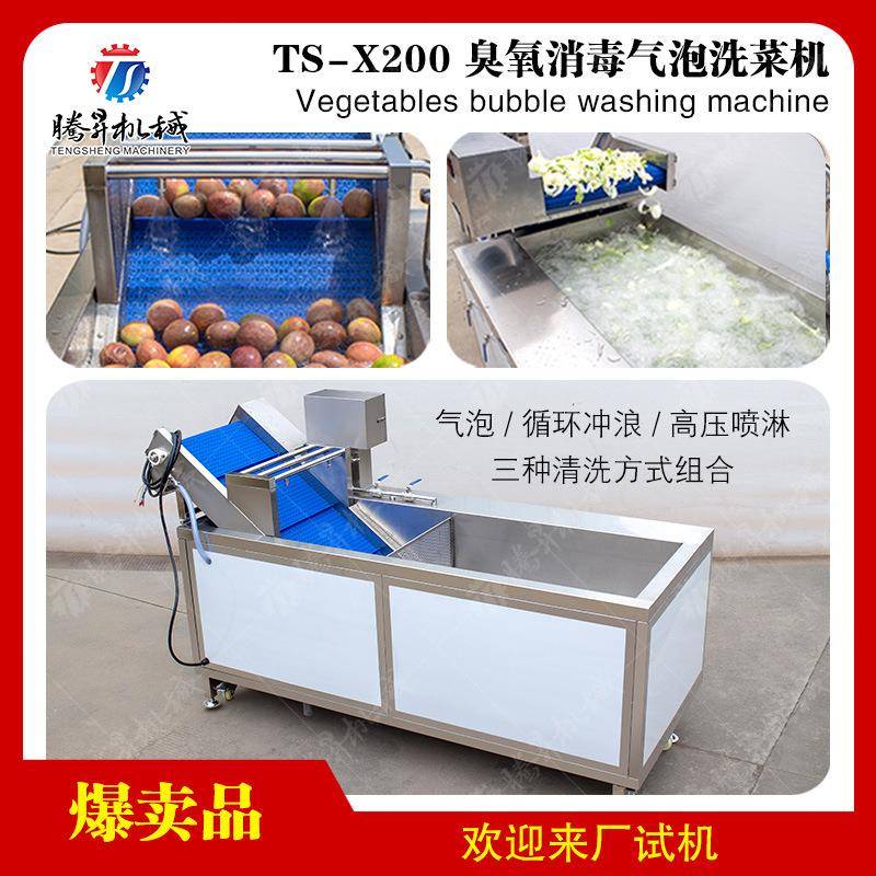 现货供应臭氧气泡式西红柿清洗机可加工水果清洗机厂家