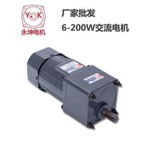 耐高温微型电机6IK200RGU-CF/6GU-60KB小型感应减速电机配调速器