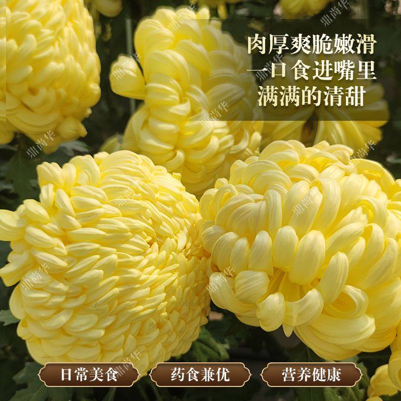 新鲜食用菊花可生吃稀有糖心菊沙拉蔬菜酒楼高端食材,水产肉类/新鲜蔬果/熟食,其它,淘宝优惠券,粉丝福利购,淘宝优惠卷