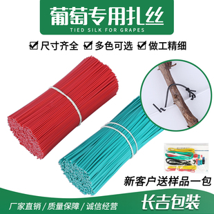 葡萄扎丝0.7圆扁 扎线绑枝条猕猴桃12厘米捆绑扎带一万条新款白色