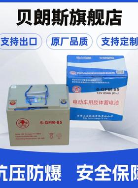 6-GFM-85火炬叉车电池12V85Ah 中力小金刚托盘车电池