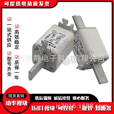 170M3694 170M3695 170M3696 170M3697巴斯曼熔断器现货