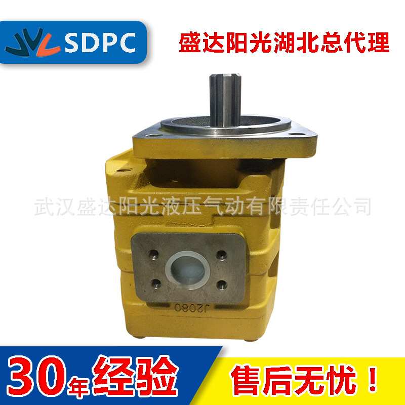 山东合肥CBG2080液压高压齿轮油泵CBG2063双联铲车装载机配件厂