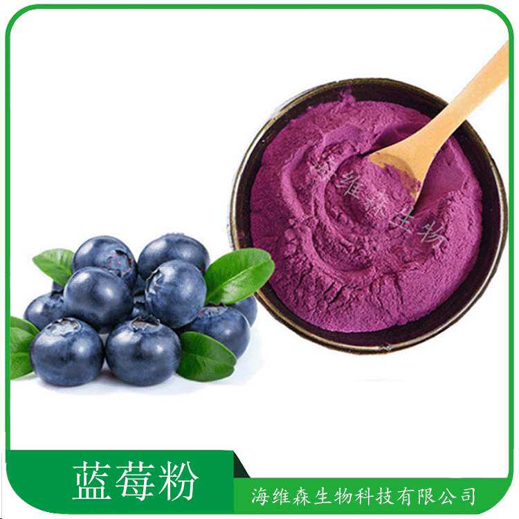 蓝莓粉 食品应用蓝莓果粉 蓝莓提取物 蓝莓汁粉 花青素 量大从优