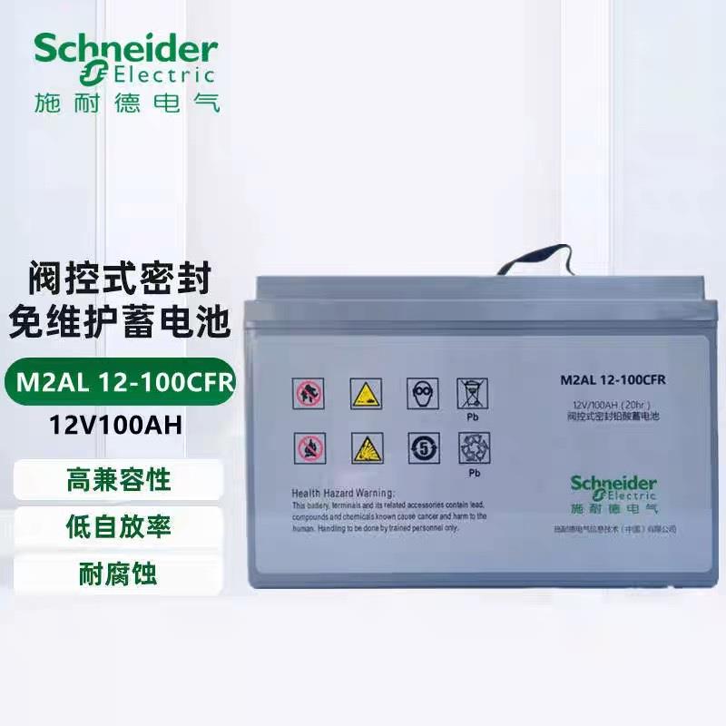 APC蓄电池M2AL12-100SFR/12V100AH机房UPS电源监控室铅酸蓄电池