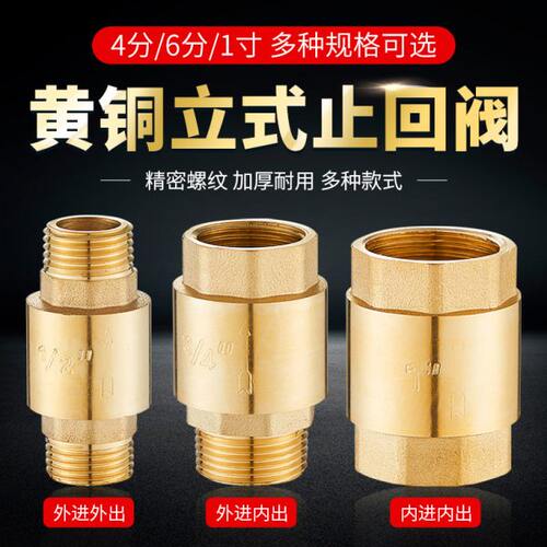 全铜4/6分1寸立式止回阀内外双丝水管止回阀ppr单向阀逆止流阀