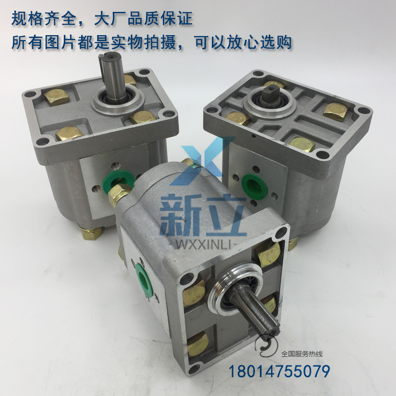 齿轮泵CBN-E3f10 CBN-E306 CBN-E316 E320 E325 E304 E308 E312