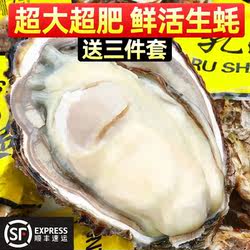 乳山生蚝包肥包活海鲜水产刺身即食特大牡蛎带壳海蛎子带箱10斤