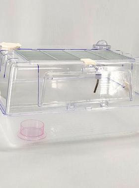 金丝熊宝宝笼子大号豪华仓鼠60基础笼加高造景亚克力板金丝熊透明