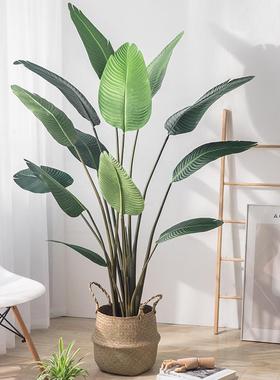 仿真植物旅人蕉假绿植橱窗造景室内装饰落地大型假树仿真树仿真绿