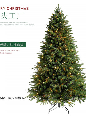 圣诞树家用小型加密1.5米场v景装饰圣诞节绿色大型1.8/2.1米装饰